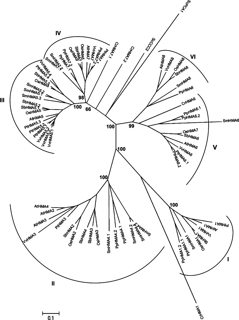 Fig. 9