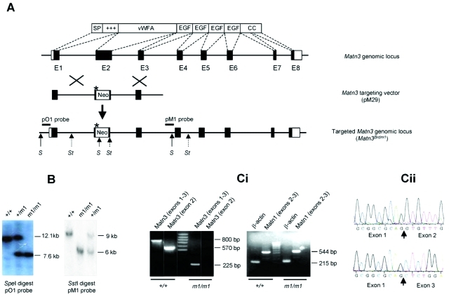 Figure 1-6941