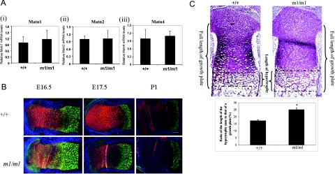 Figure 3-6941