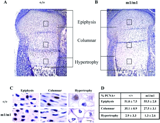 Figure 4-6941