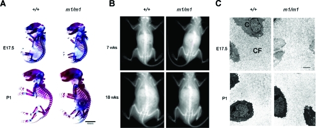 Figure 2-6941