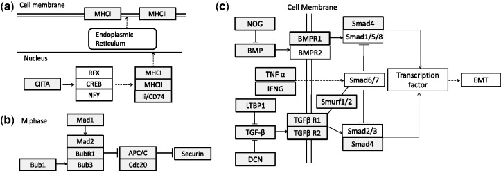 Fig. 7.