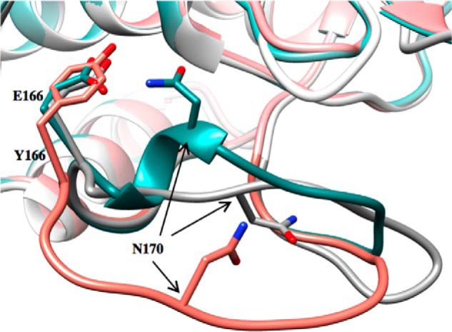 FIGURE 7.