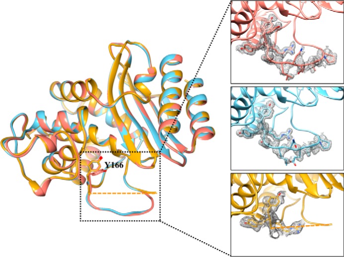 FIGURE 5.