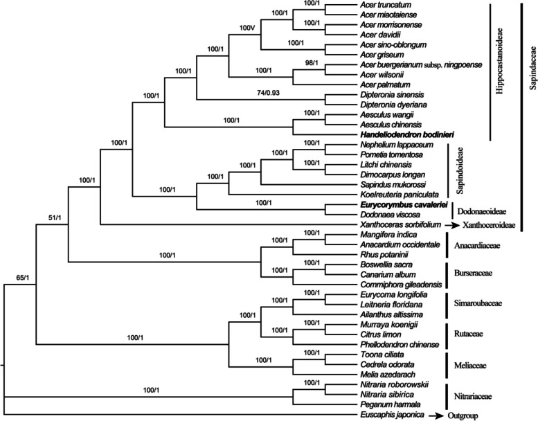 Fig. 9