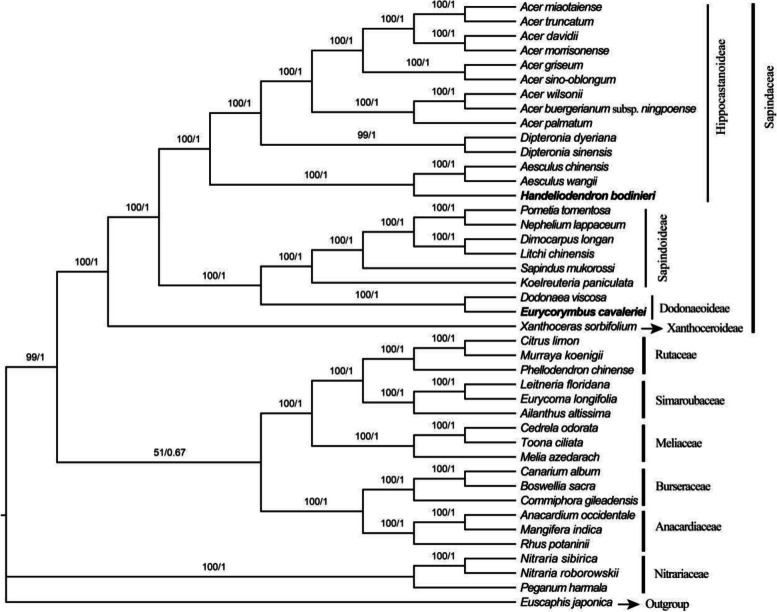 Fig. 8