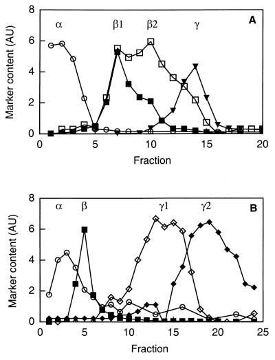 FIG. 5