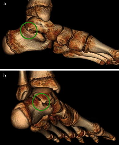 Fig. 7