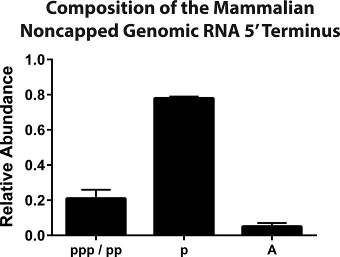 FIG 5