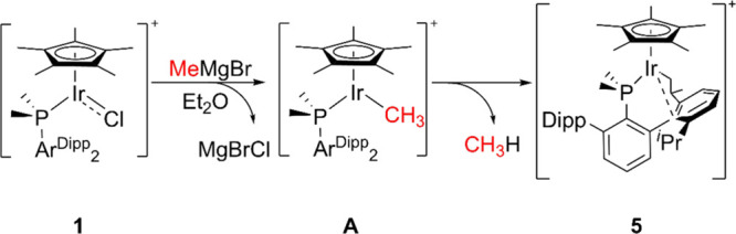 Scheme 4