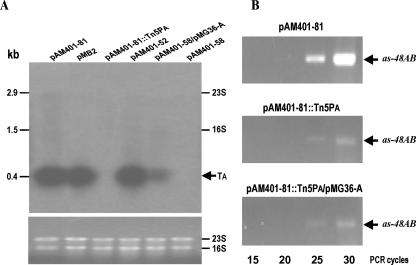 FIG. 2.