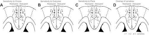 Fig. 9.