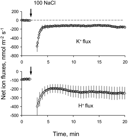 Fig. 7.