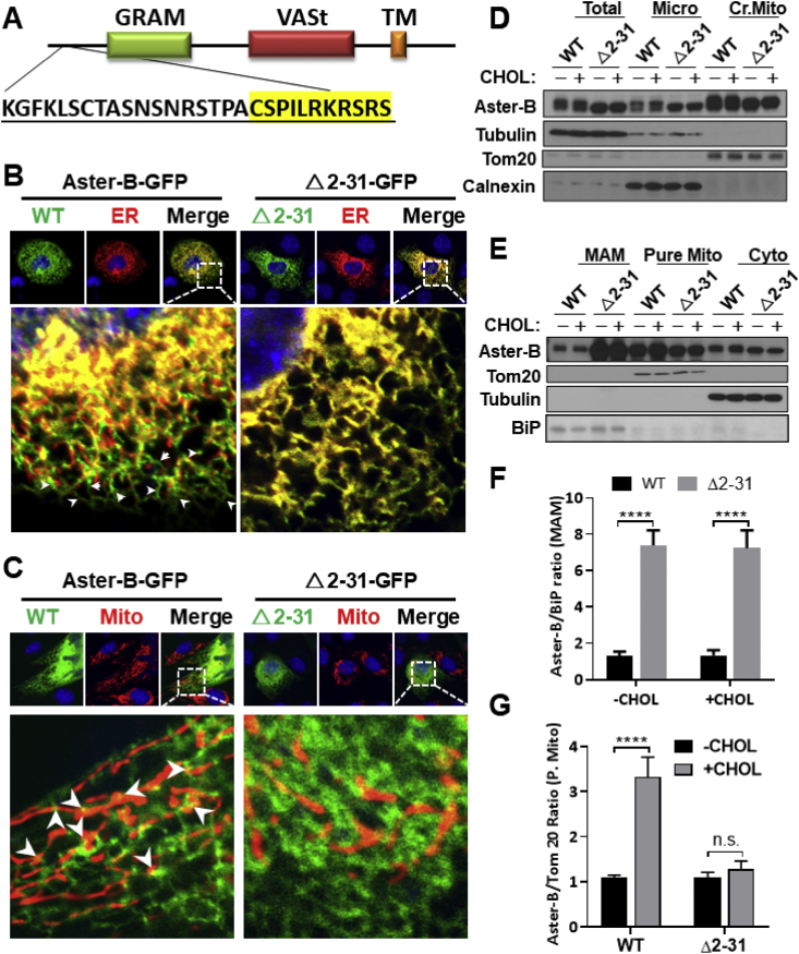 Figure 4