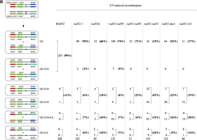 Figure 2.—