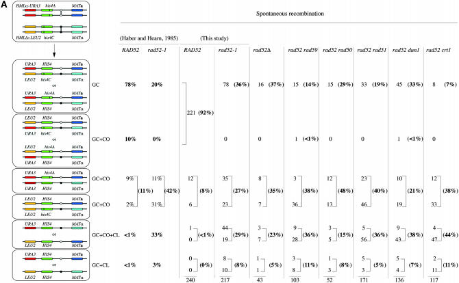 Figure 2.—