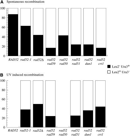 Figure 5.—