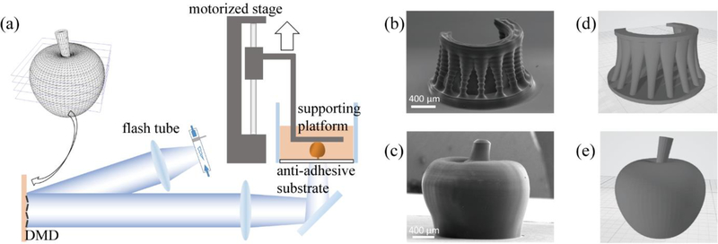 Figure 1.