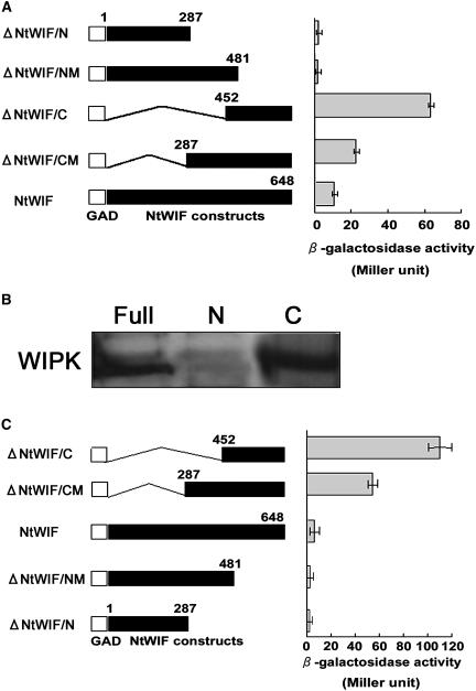 Figure 2.