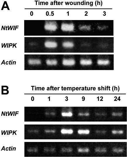 Figure 7.