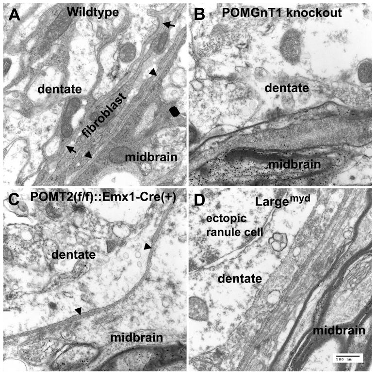 Fig.2