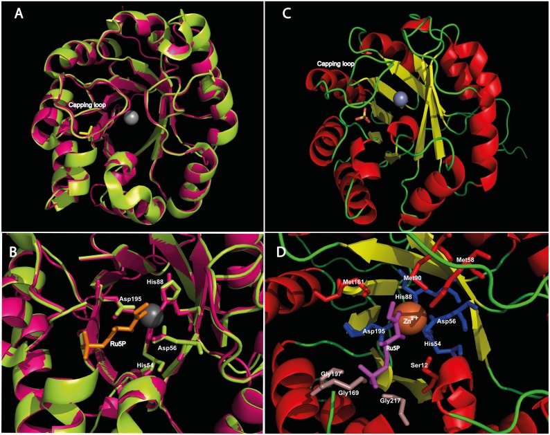 Fig 5