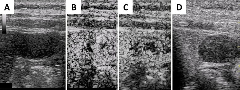 Figure 4.