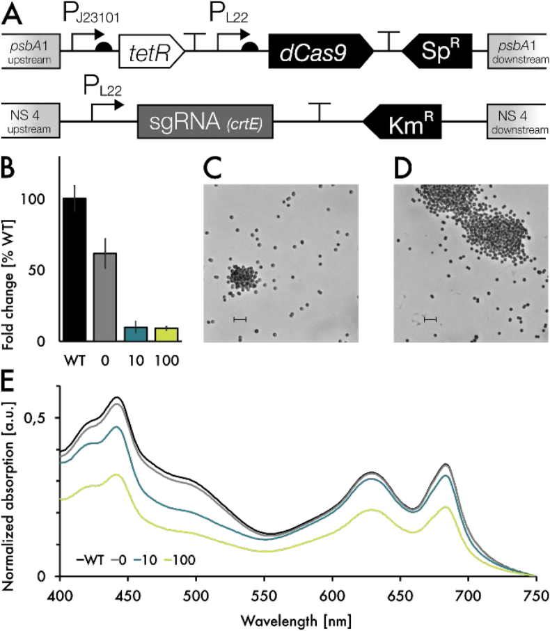 Fig. 4