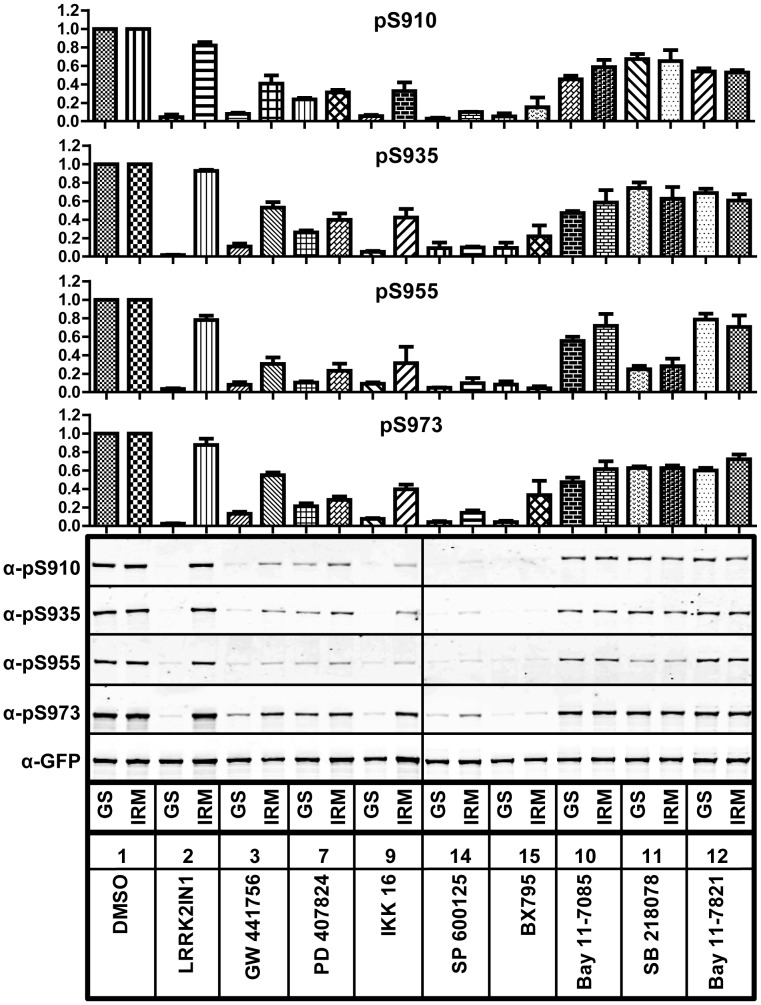 Figure 6