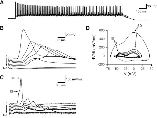 Fig. 6.