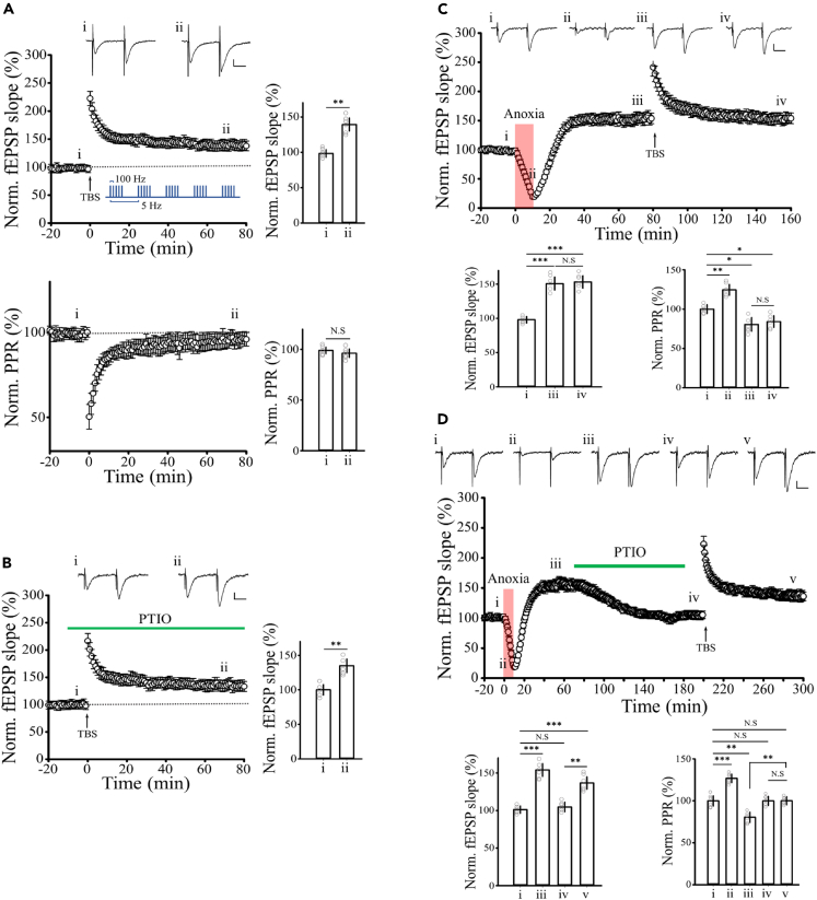 Figure 4