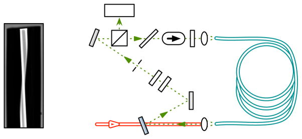 Fig. 1