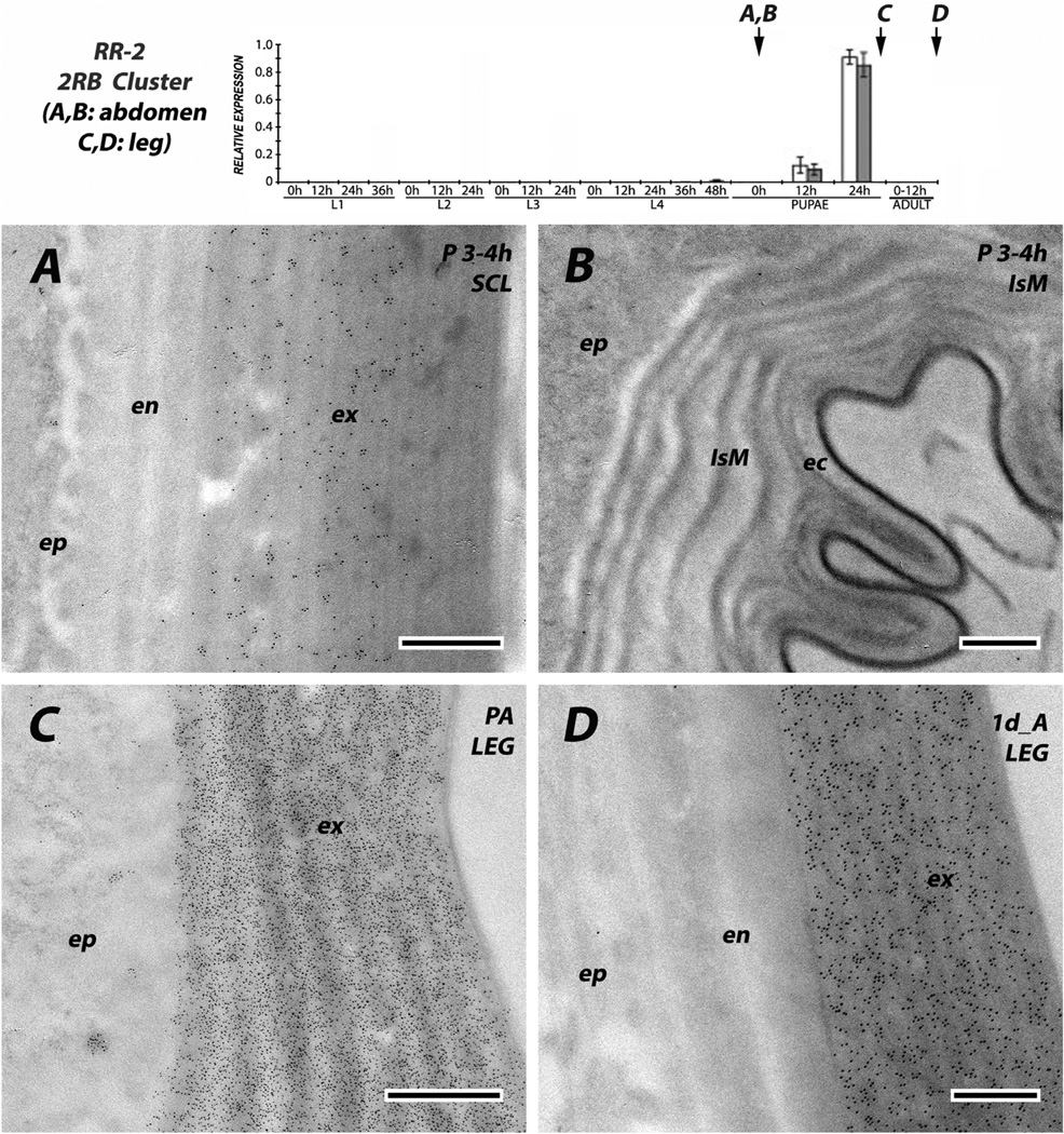 Fig. 13