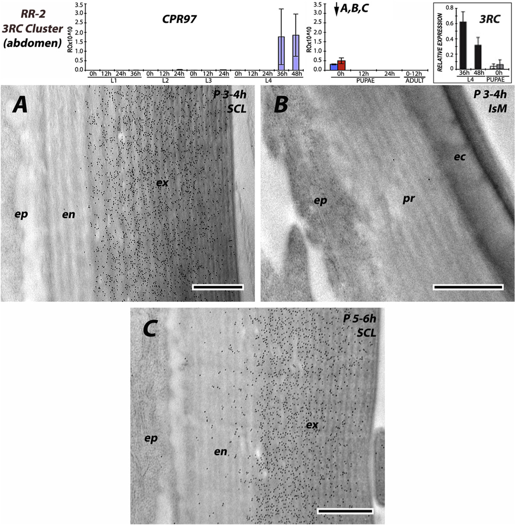 Fig. 11