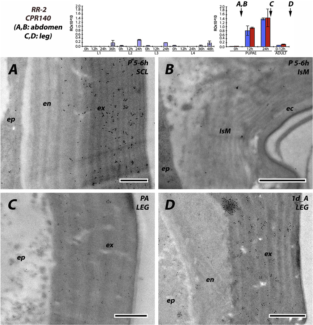 Fig. 12