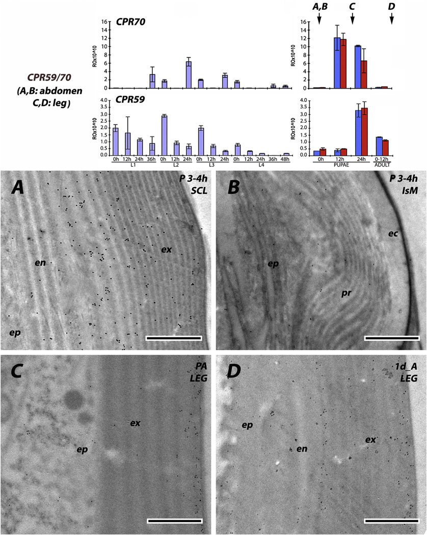 Fig. 10