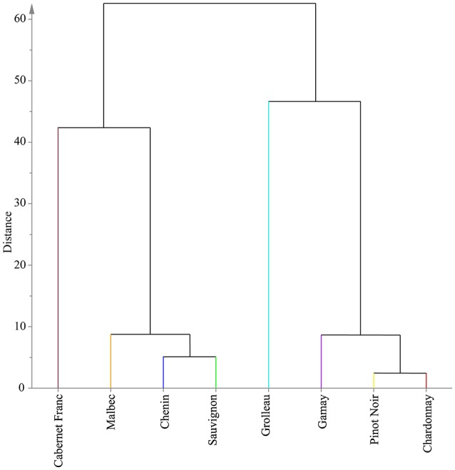 Figure 6