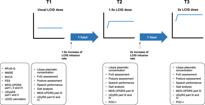 FIGURE 1