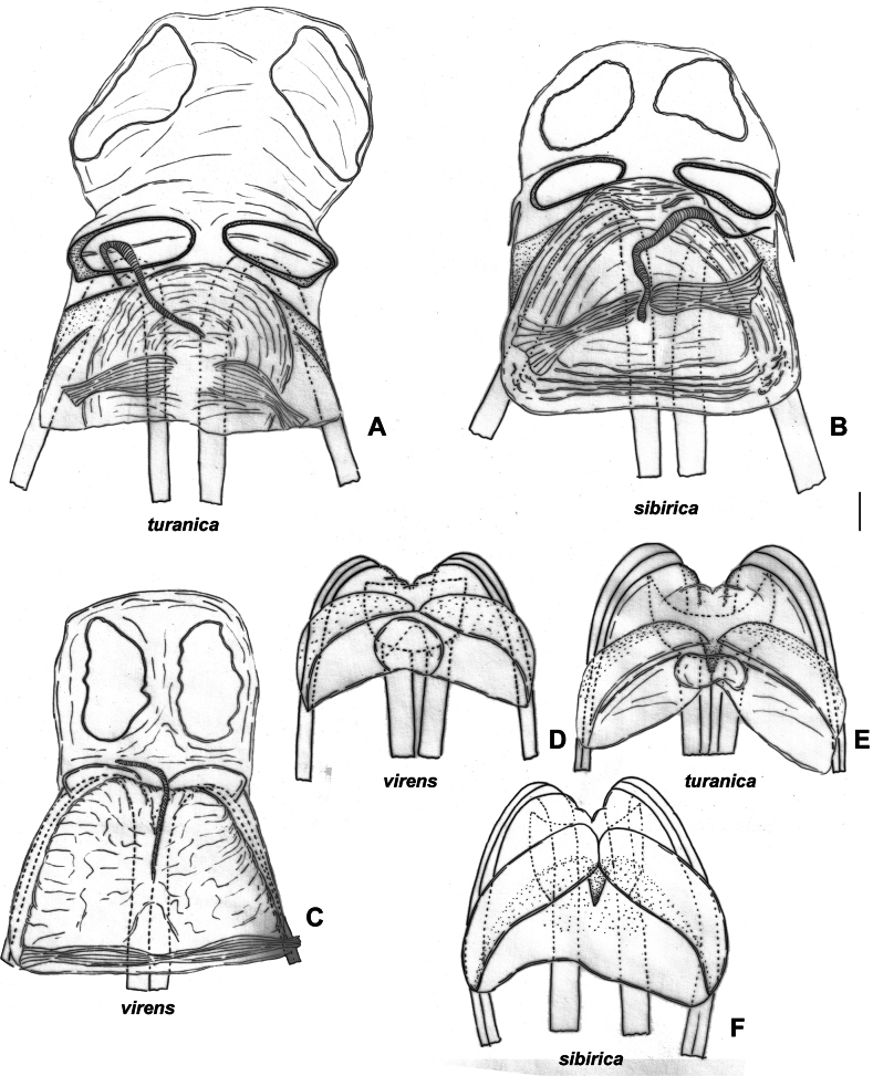 Figure 10.