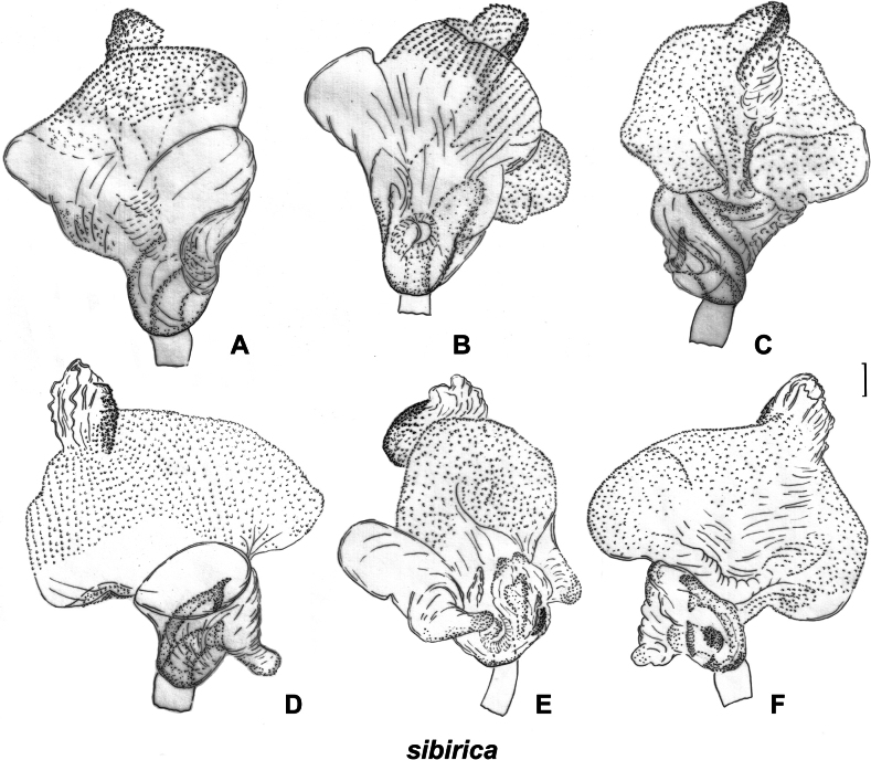 Figure 13.