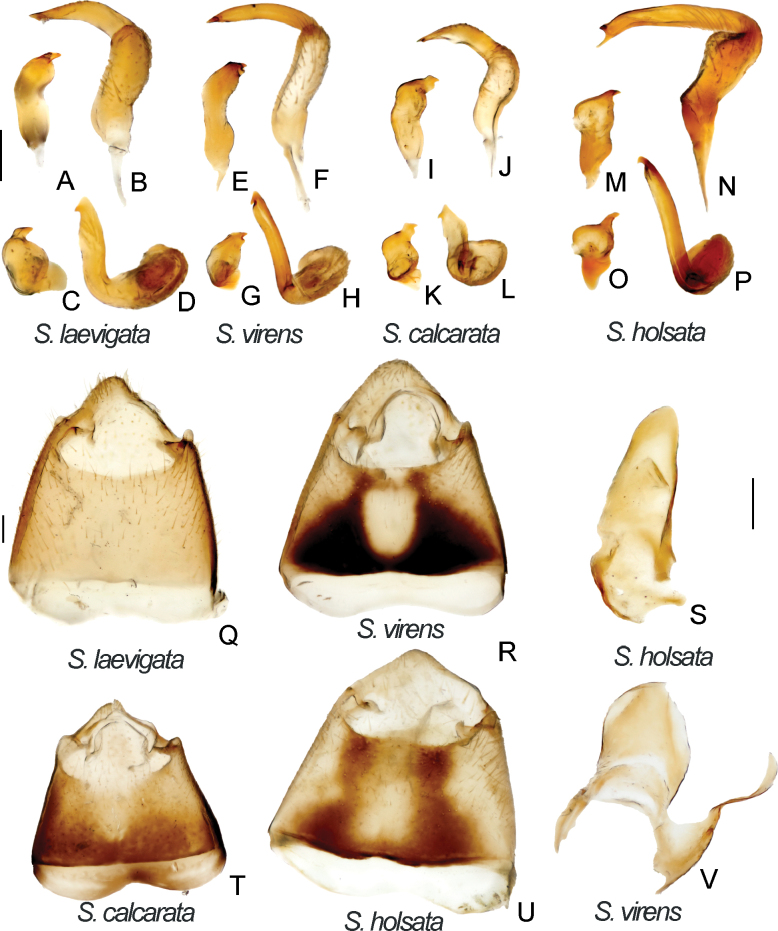 Figure 5.