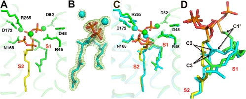 Fig. 2.