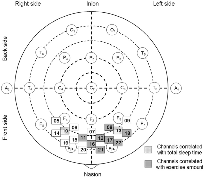 Fig. 1