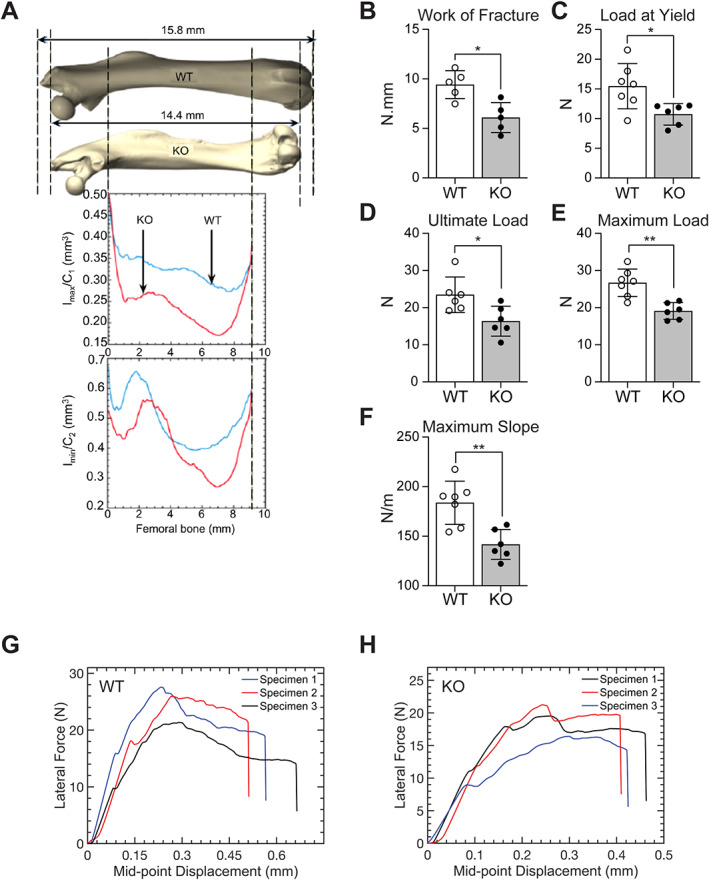 Fig. 9