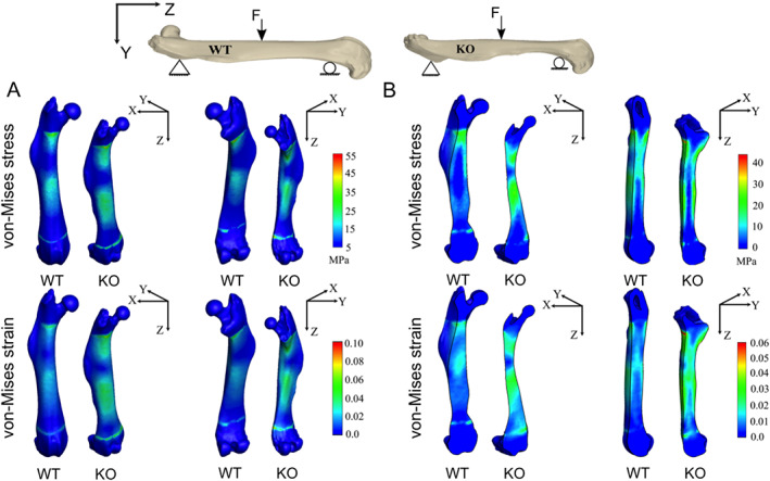 Fig. 10