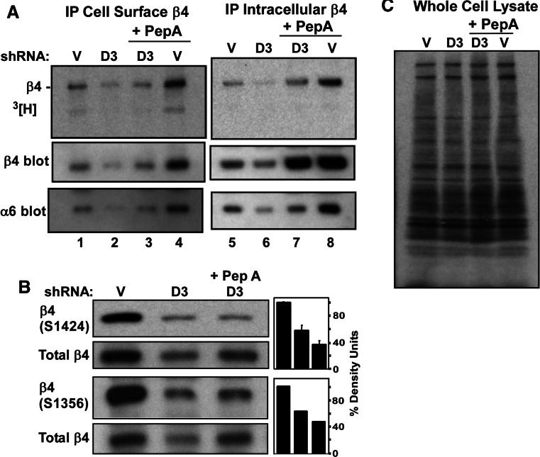 Fig. 6