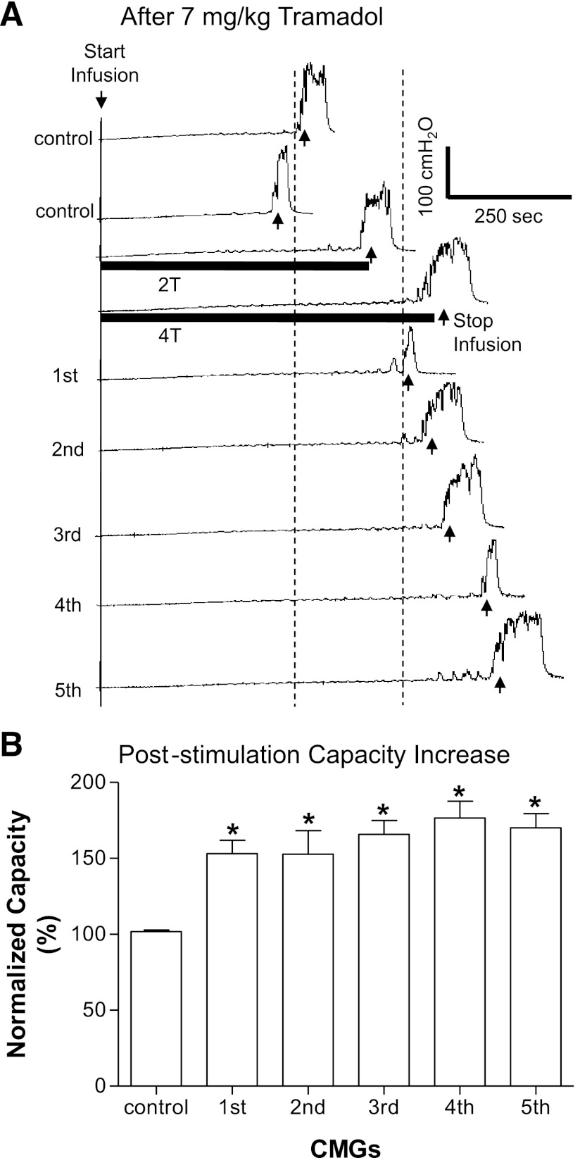 Fig. 5.