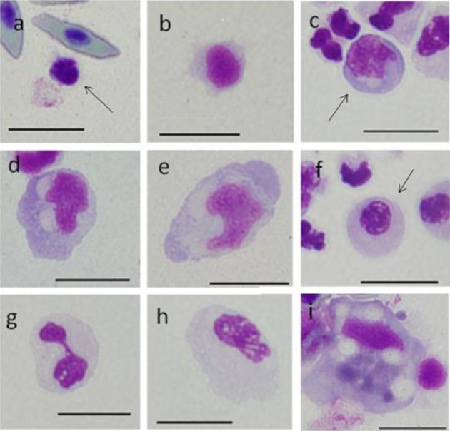 Fig. 3.