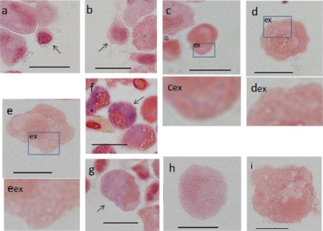 Fig. 6.