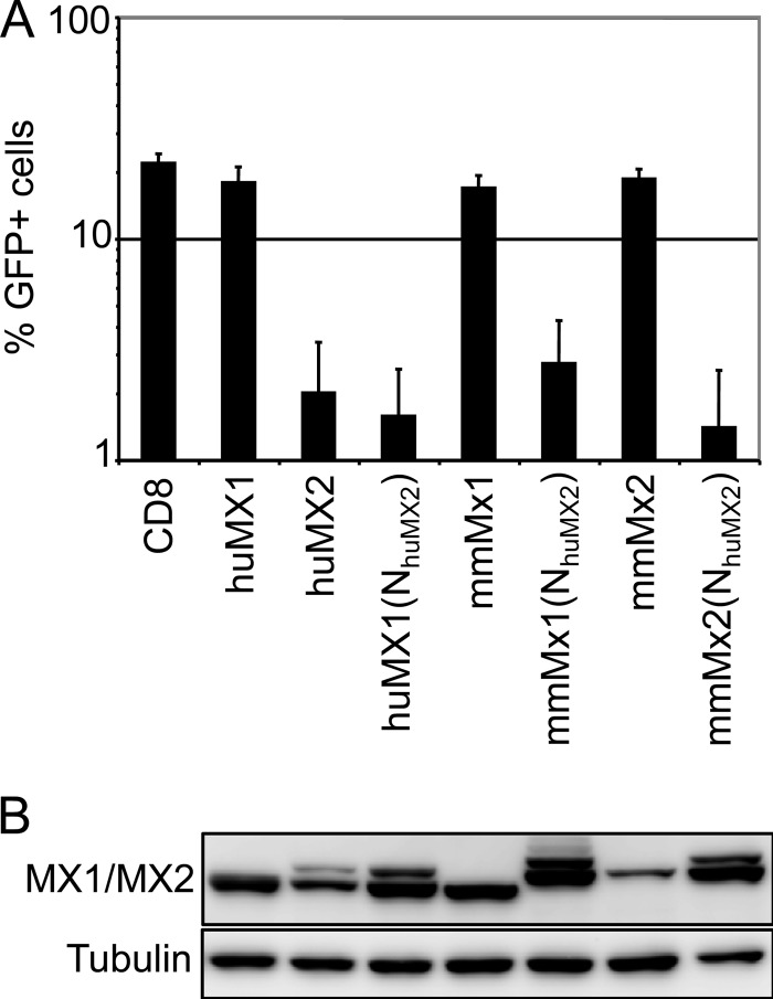 FIG 3